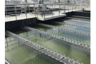 【干貨】有機(jī)物導(dǎo)致的氨氮超標(biāo)?這種情況該如何處理呢？