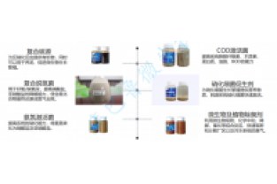 線(xiàn)路板廢水處理之生化脫氮