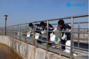 碳氮比失調，總氮超標怎么辦