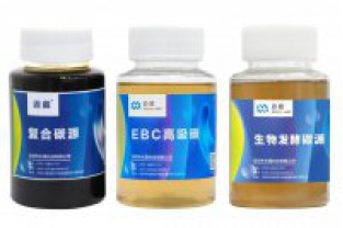 在設(shè)計污水處理系統(tǒng)時，如何評估碳源負荷？